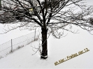 der erste Schnee_1