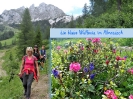 Wulfeniafest mit Irmi und Sabine am Nassfeld_1