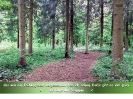 kalt und nass war`s_1