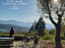 03 Herbst
