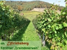 9. Okt. um den Ulrichsberg