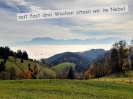raus aus der Suppe