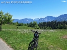 01 Frühjahr