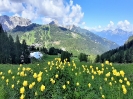 Blick über Watschiger Alm zum Trogkofel